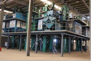 workshop 5 workshop 5